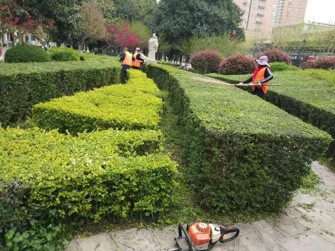 文昌大道路北绿化工程