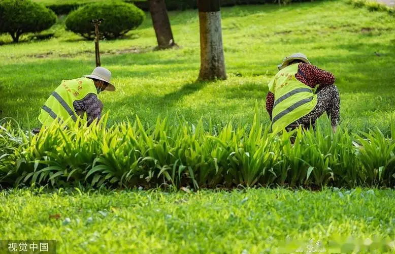 园林绿化与生态补偿：恢复与保护植物及动物物种。