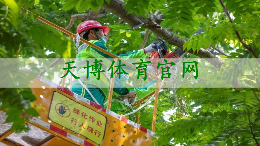 桂林园林美景亮相第三届广西园博会