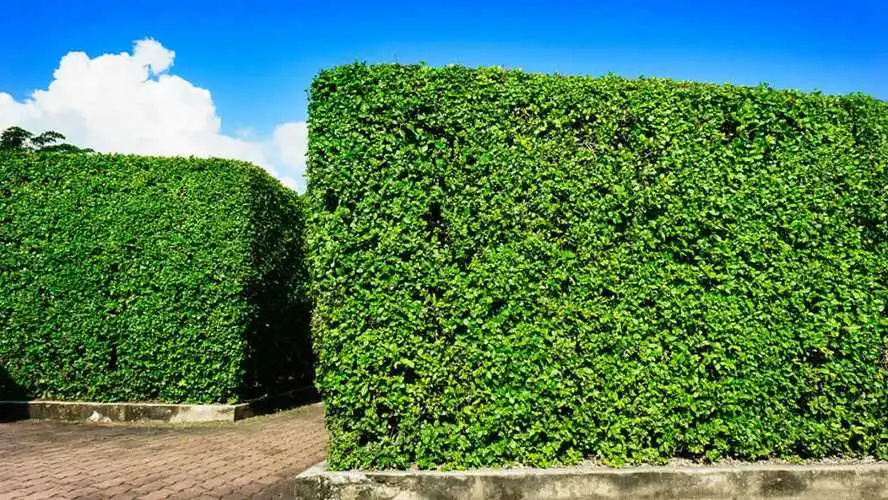 花艺园林景观设计策划方案