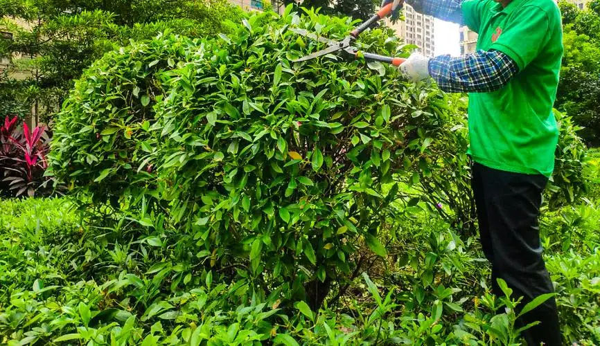 绿化工程议题汇总表